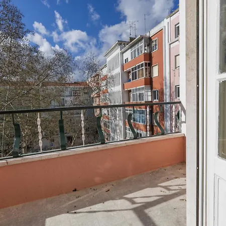 Joao Azevedo Coutinho Daire *