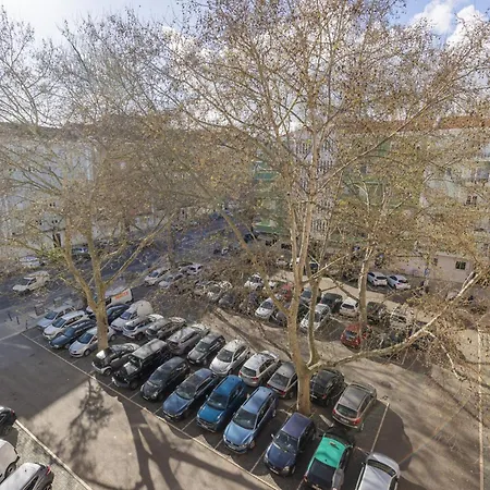 Joao Azevedo Coutinho Daire Lisboa