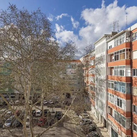 Joao Azevedo Coutinho Лісабон