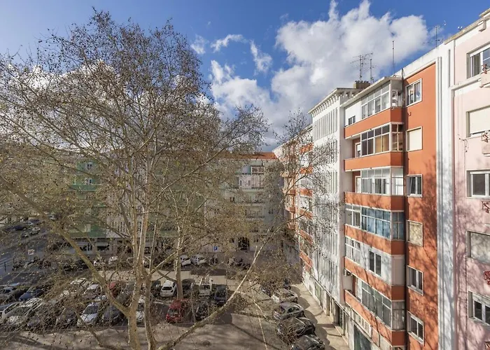 Joao Azevedo Coutinho Lisboa