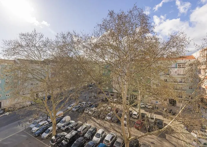 Joao Azevedo Coutinho