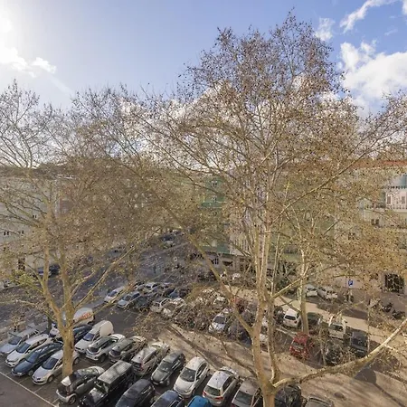 Joao Azevedo Coutinho